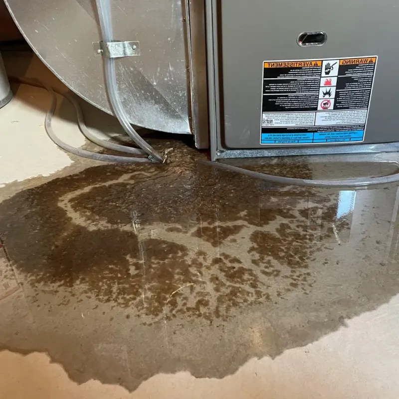 Pipe Burst and Leak Restoration in New Lexington, OH