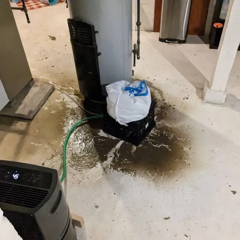 Sewage Backup Cleanup Service in New Lexington, OH